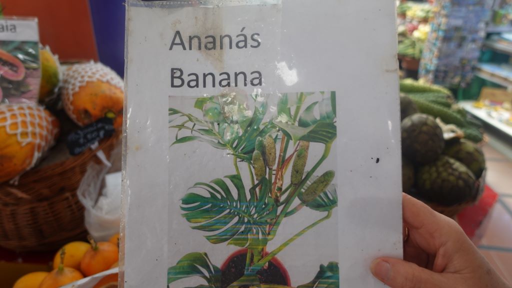 Infoschild von der schmackhaften, aber teuren Ananas-Banane