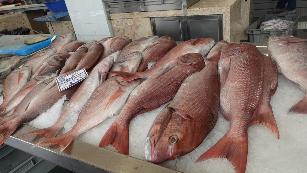 Frischer Fisch auf Eis