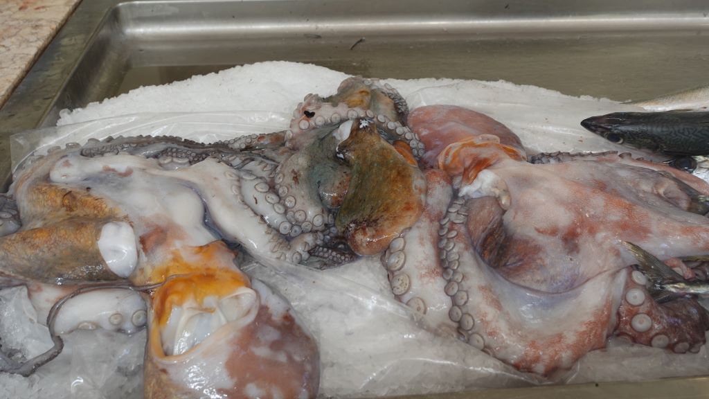 Pulpo auf Eis