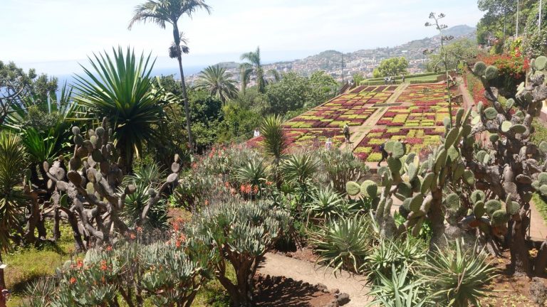 Blick von oben auf den Botanischen Garten Funchal (Jardim Botânico da Madeira-Eng Rui Vieira)