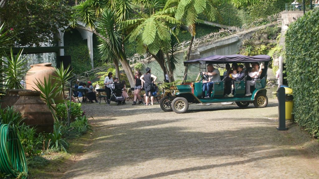 Du kannst den Park auch ganz bequem bei einer Tour mit einem Oldtimer kennenlernen.