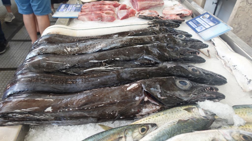 Furchterregender Degenfisch