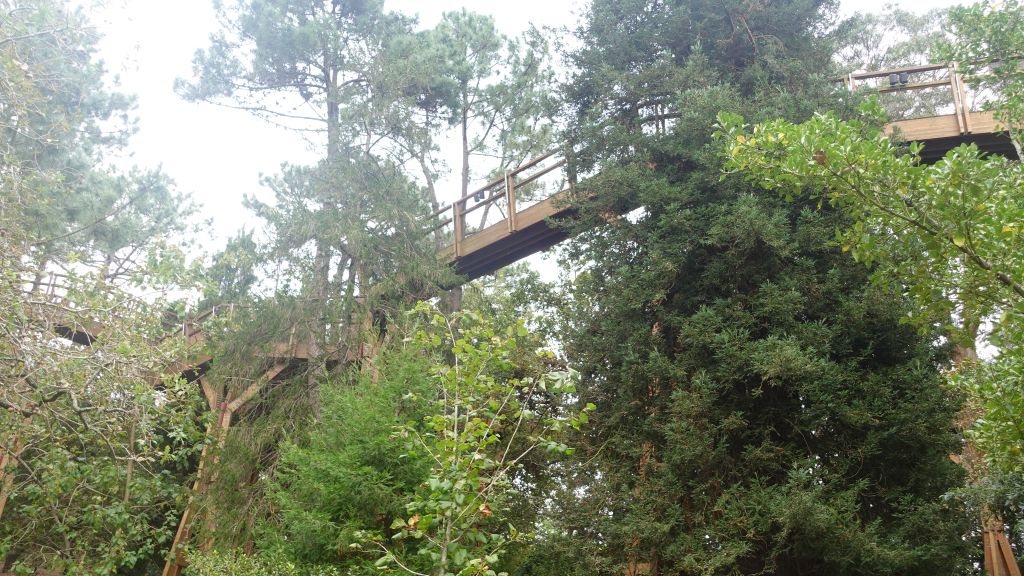 Du solltest schon schwindelfrei sein - Blick von unten auf die Brücke in großer Höhe
