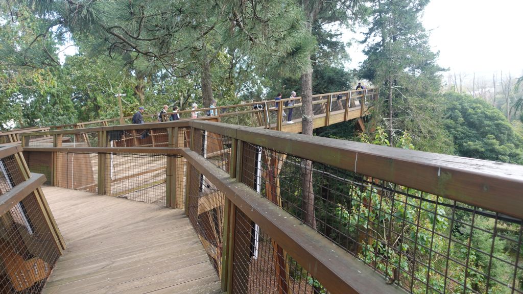 Wie du im Serralves Park über den Baumgipfeln schwebst - Blick entlang der Holzbrücke