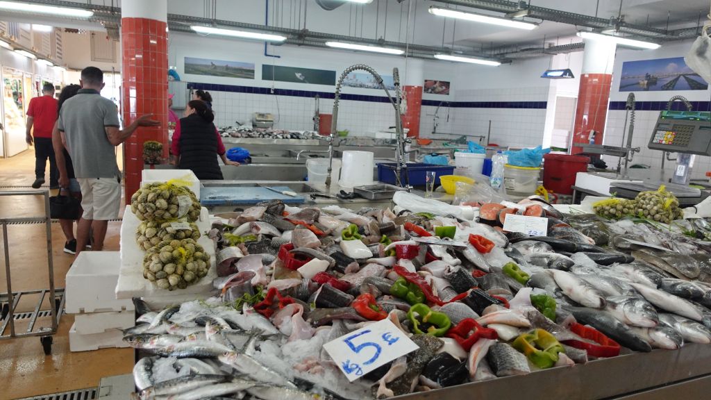 Die ehemaligen Fischerhäuser – Palheiros - das Fotomotiv in Costa Nova - das Innere eines Fischmarktes