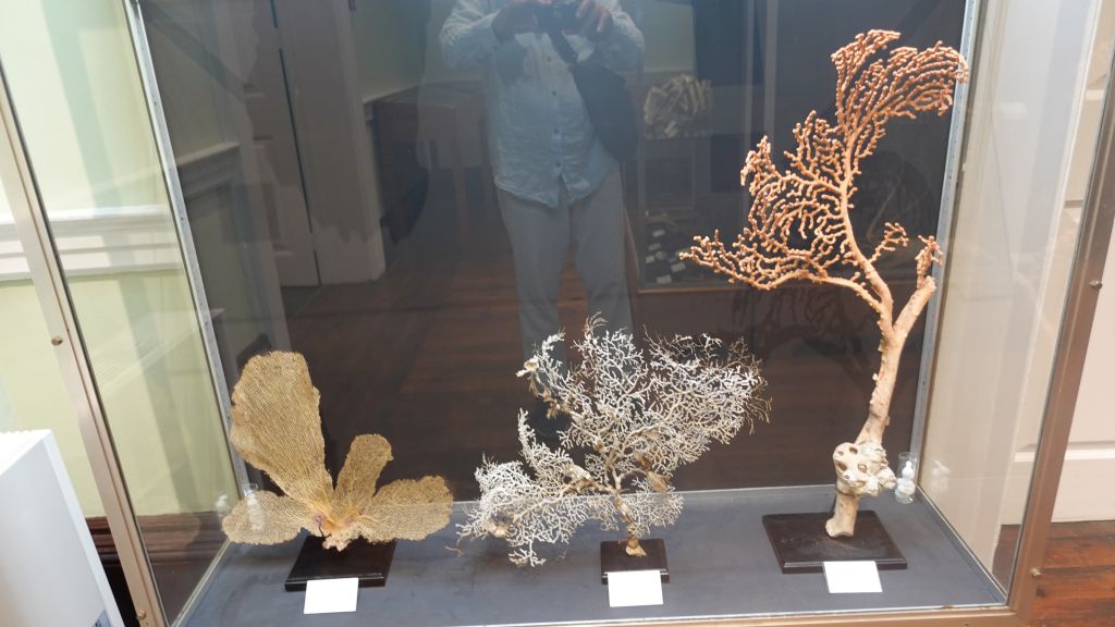 Der deutsche Wissenschaftler Dr. Günter Maul war von 1943 bis 1981 Direktor des Museums